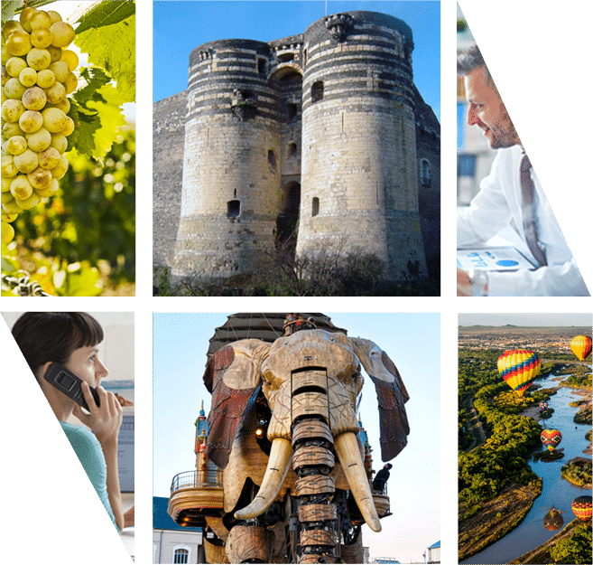 composition-nantes-angers